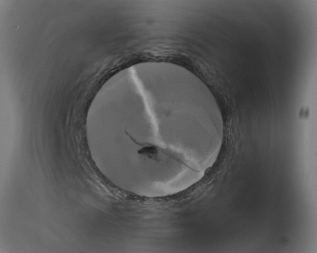 X0000114721009200911181359