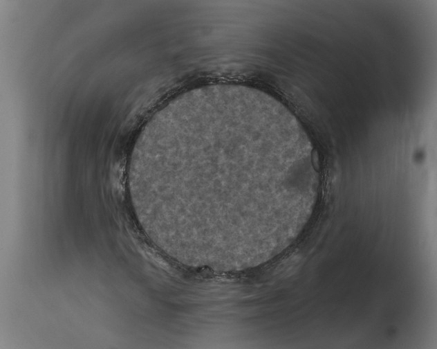 X0000114721010200911181359