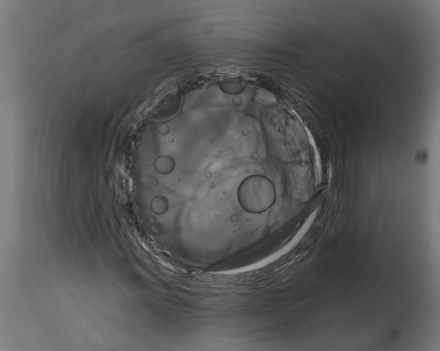 X0000114721011200911181359