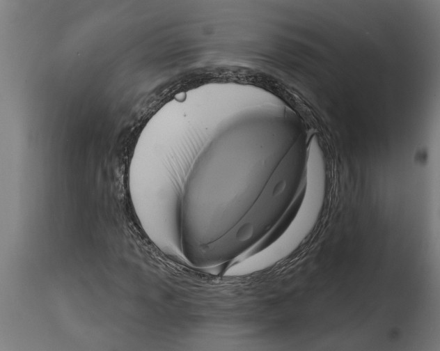 X0000114721013200911181359