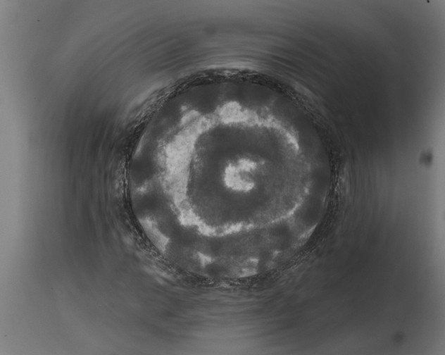 X0000114721014200911181359