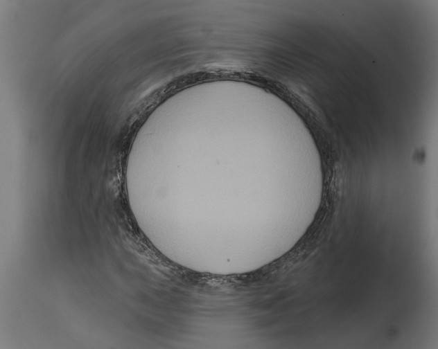 X0000114721015200911181359