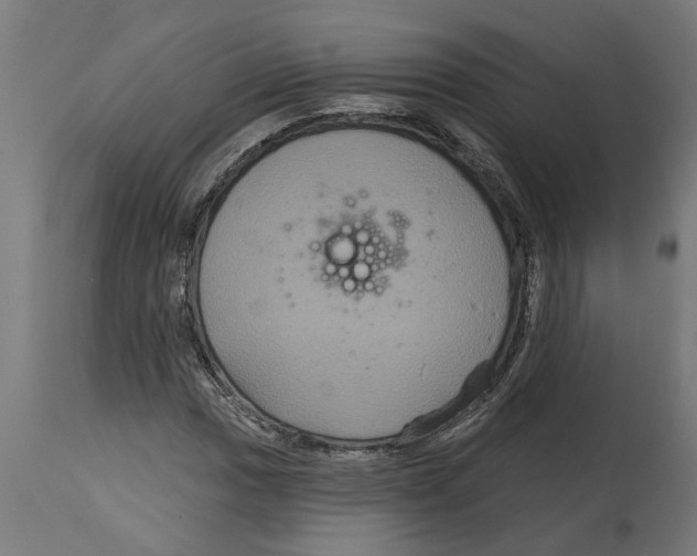 X0000114721017200911181359