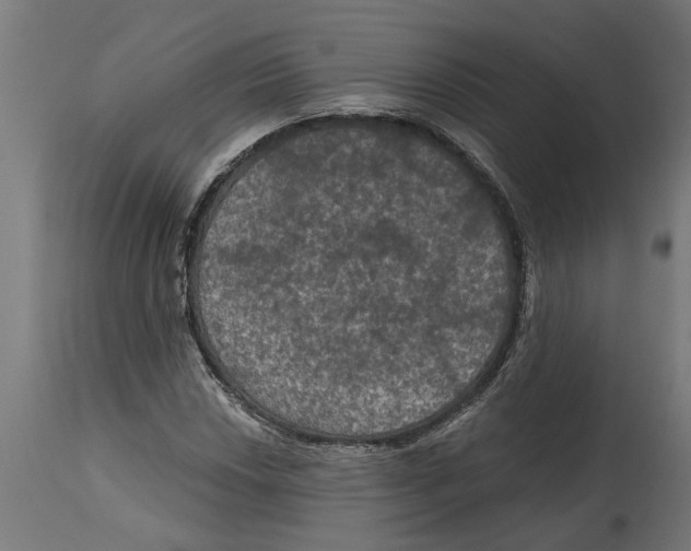 X0000114721018200911181359