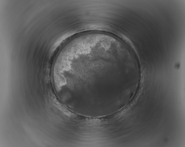 X0000114721019200911181359