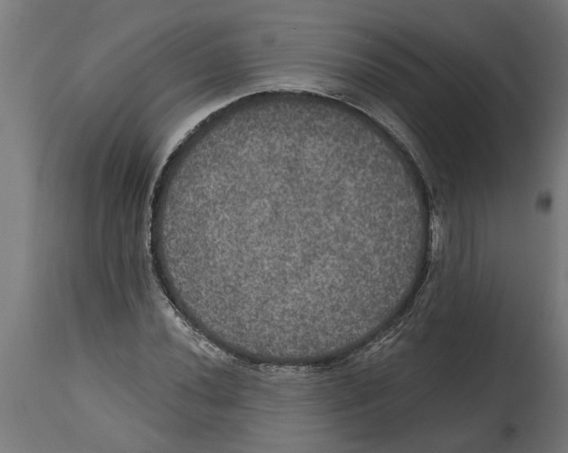 X0000114721020200911181359