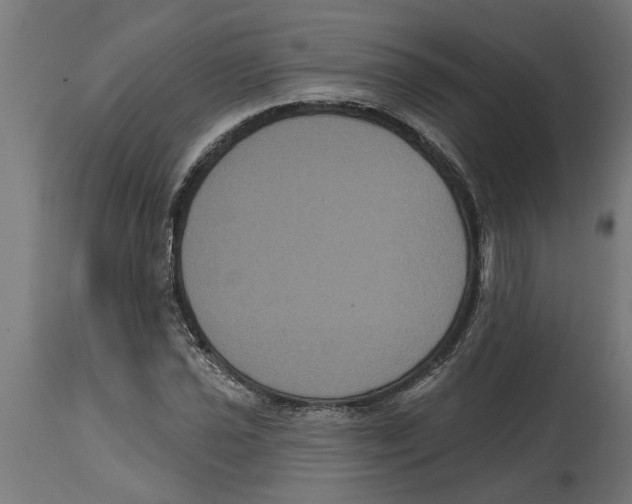 X0000114721021200911181359