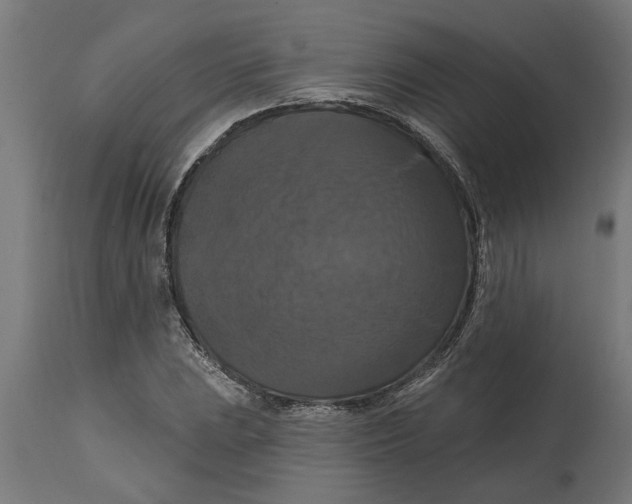 X0000114721023200911181359