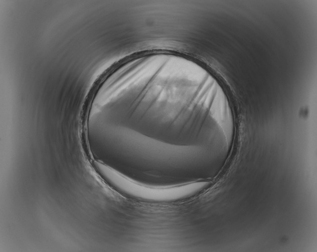 X0000114721024200911181359