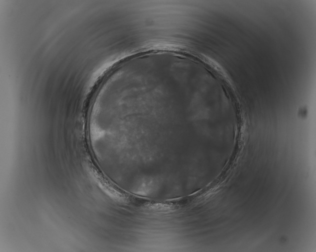 X0000114721027200911181359