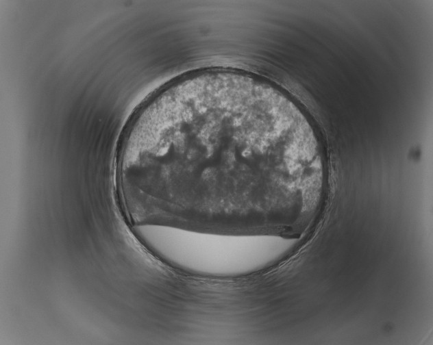 X0000114721028200911181359