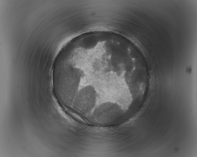 X0000114721030200911181359