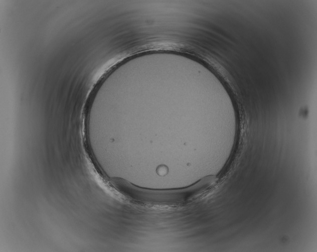 X0000114721034200911181359