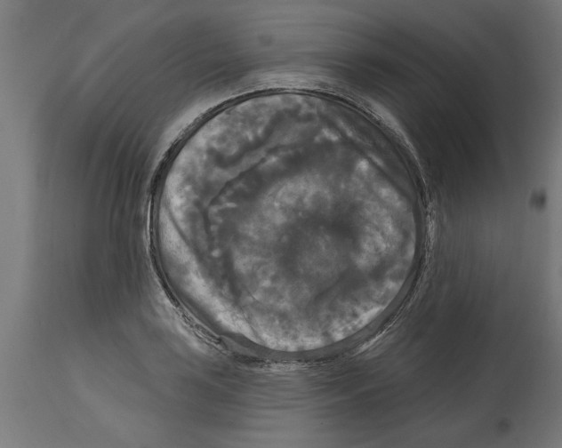 X0000114721035200911181359