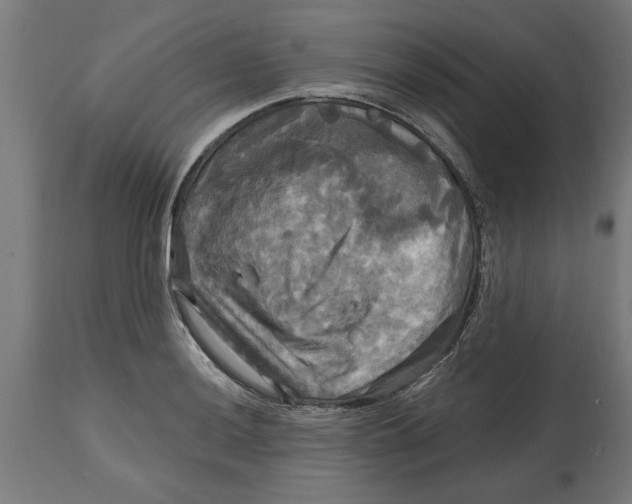 X0000114721036200911181359