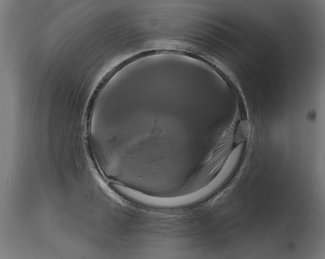 X0000114721037200911181359