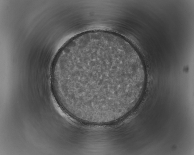 X0000114721038200911181359