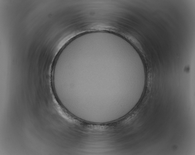 X0000114721039200911181359