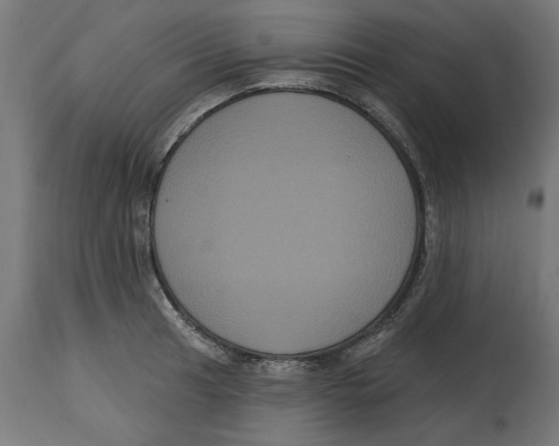 X0000114721041200911181359