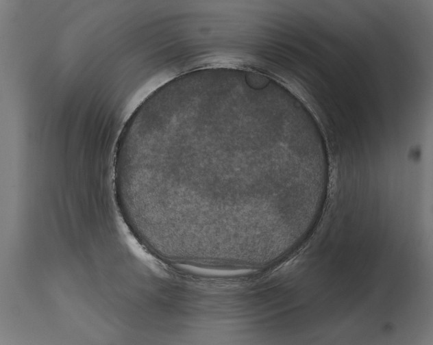 X0000114721042200911181359