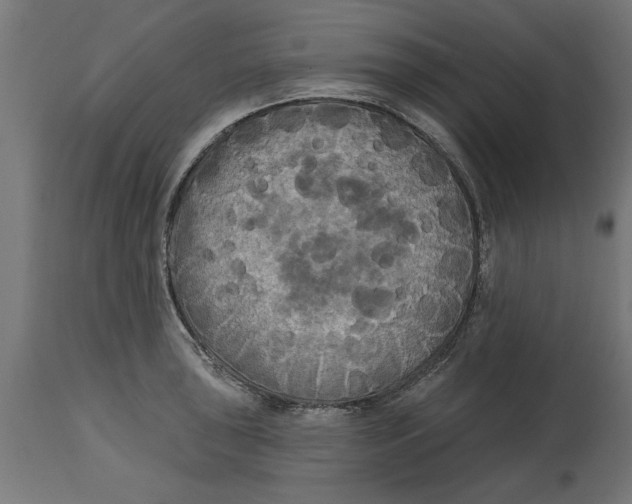 X0000114721043200911181359