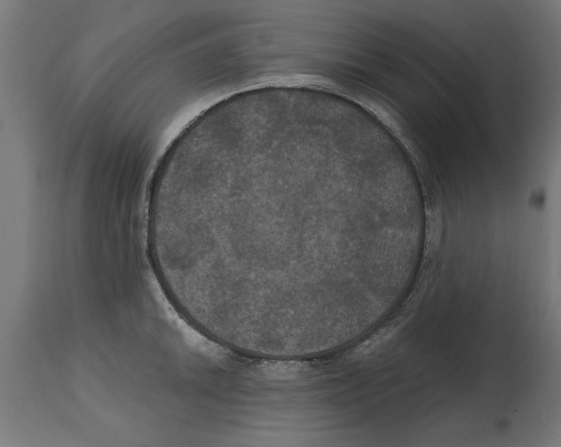 X0000114721046200911181359