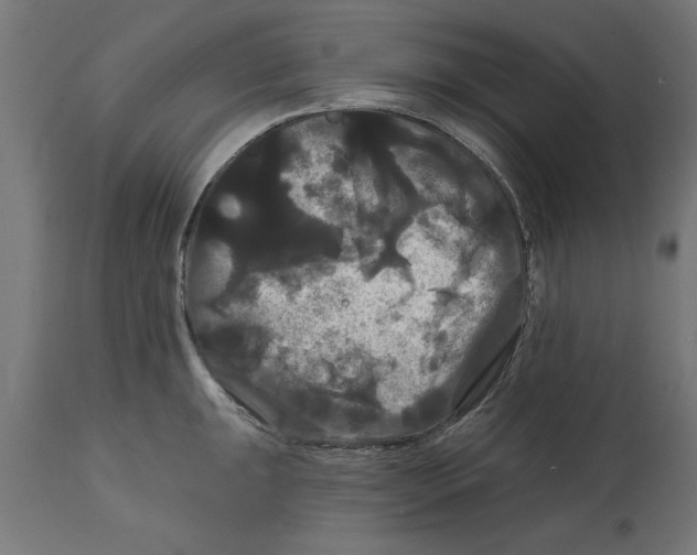 X0000114721047200911181359