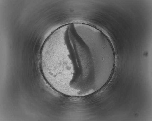 X0000114721048200911181359