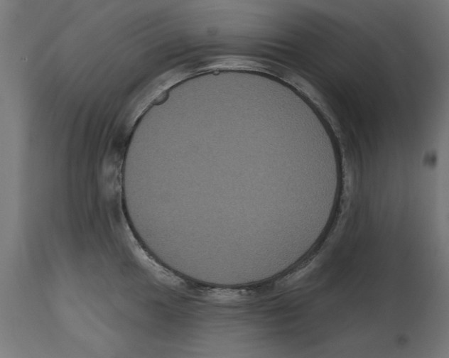 X0000114721049200911181359