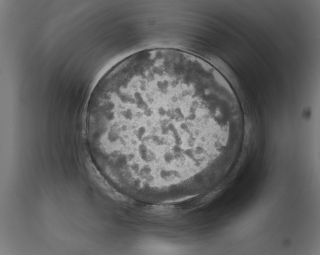 X0000114721052200911181359