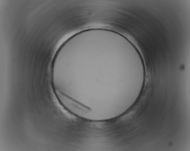 X0000114721053200911181359