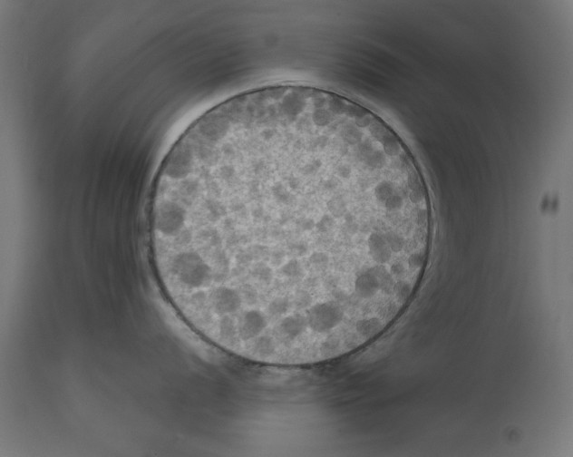 X0000114721056200911181400