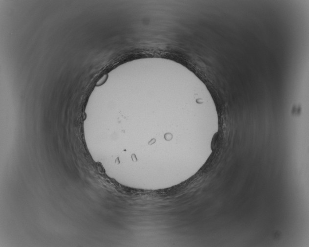 X0000114721057200911181359