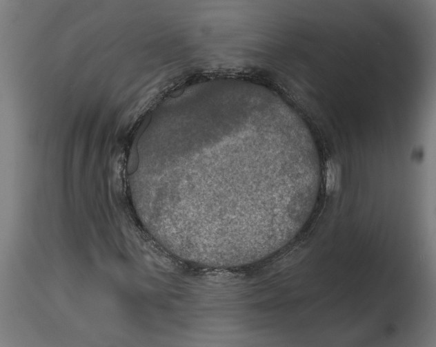 X0000114721059200911181359