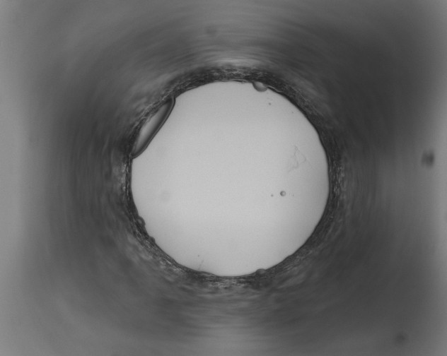 X0000114721061200911181359