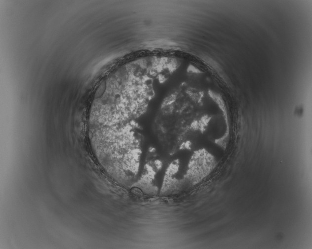 X0000114721063200911181359