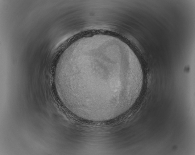 X0000114721064200911181359