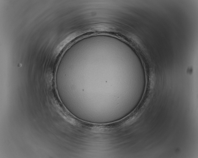 X0000114721065200911181359