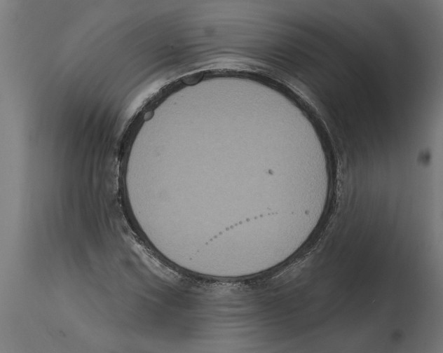 X0000114721067200911181359