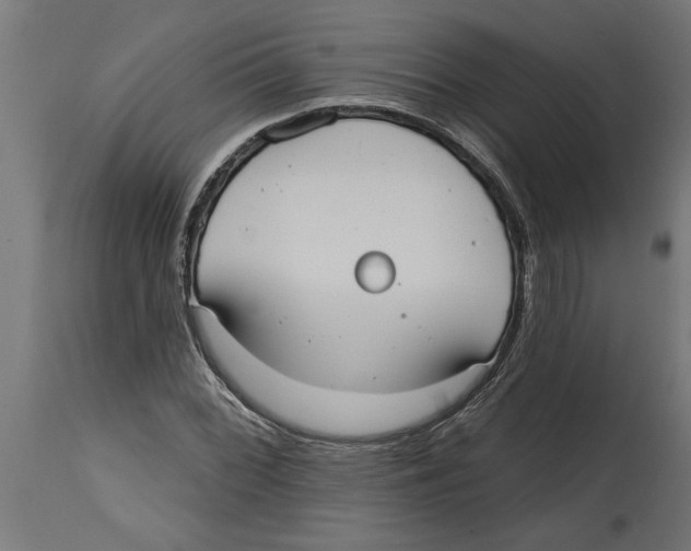 X0000114721068200911181359