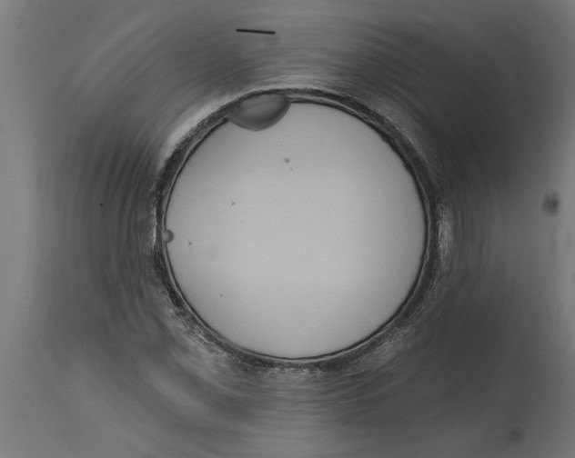 X0000114721069200911181359