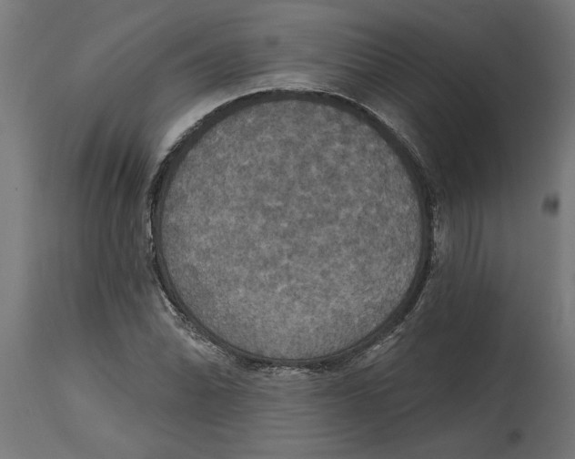 X0000114721070200911181358