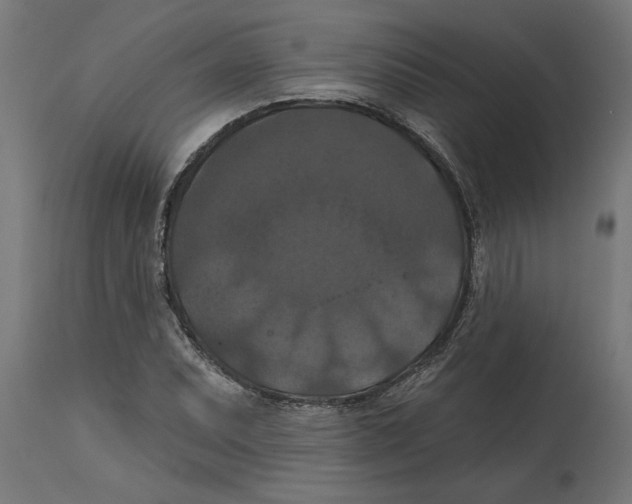 X0000114721071200911181358