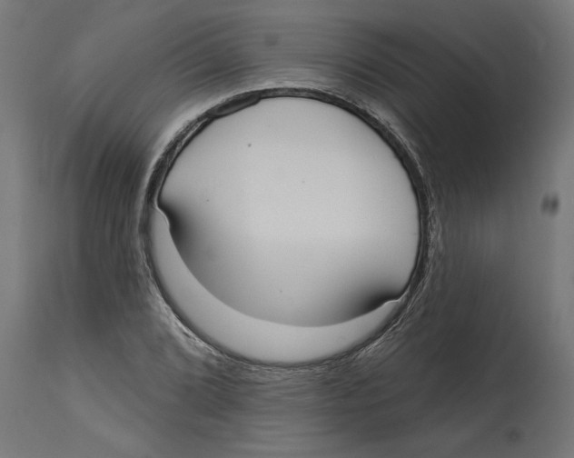 X0000114721072200911181358