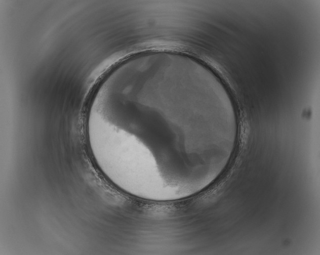 X0000114721074200911181358