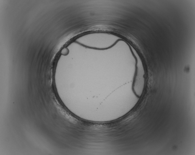 X0000114721075200911181358