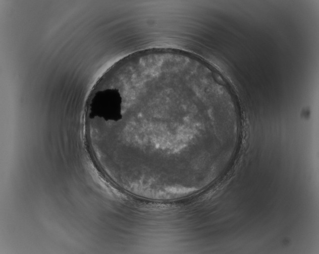 X0000114721076200911181358