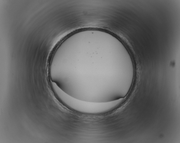 X0000114721077200911181358