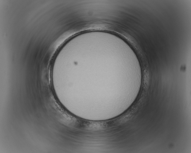 X0000114721078200911181358