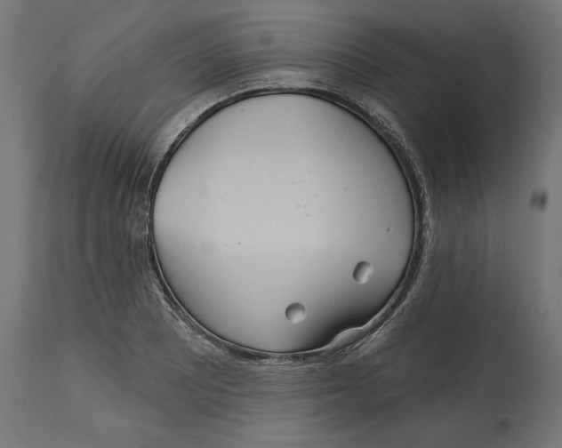 X0000114721081200911181358